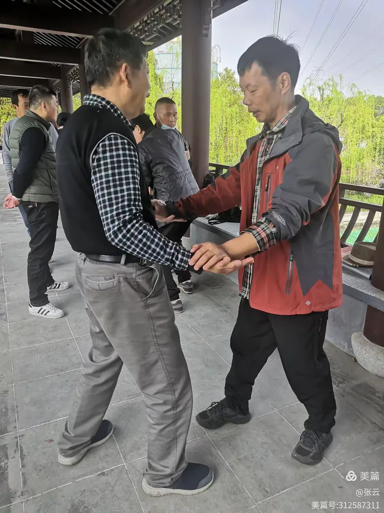 第十八期真如养生推手之掠影